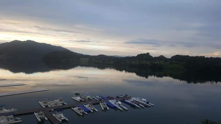 탄금호국제조정경기장